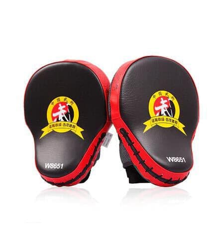 MMA Focus Punch Pads.