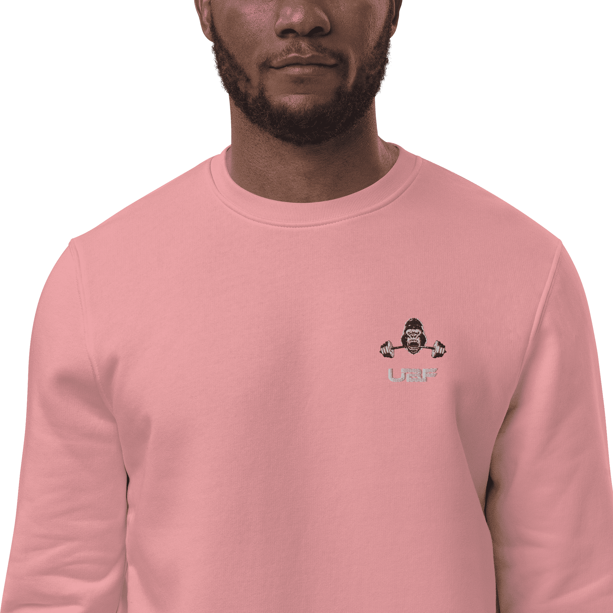 Men's eco sweatshirt
